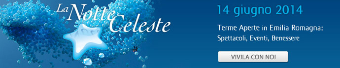 la notte celeste 2014